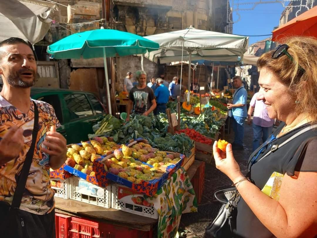 Paiper Hébergement de vacances